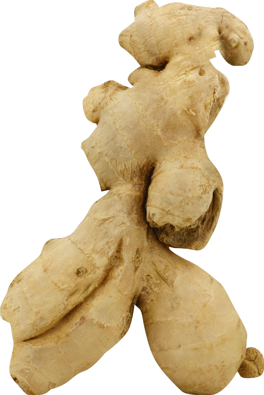 Organic Ginger Root