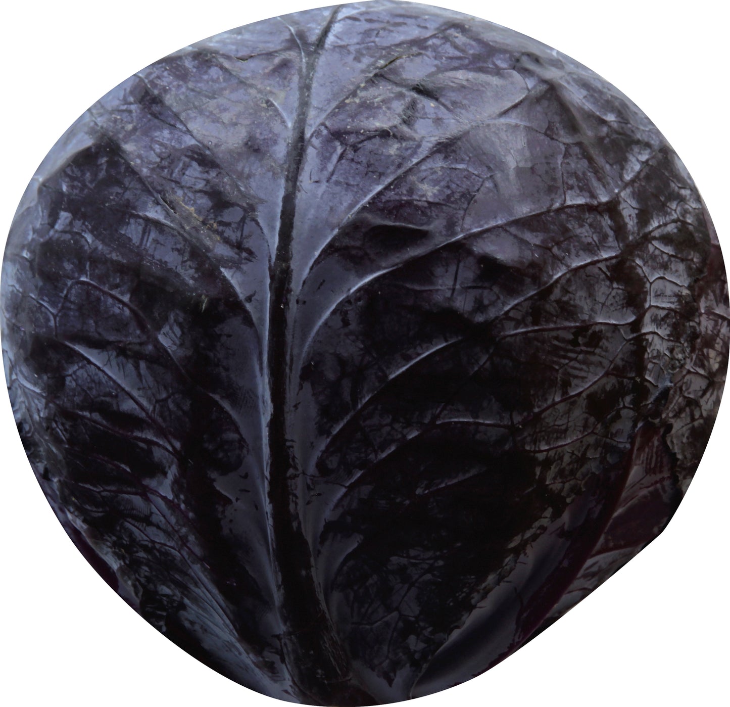 Organic Red Cabbage