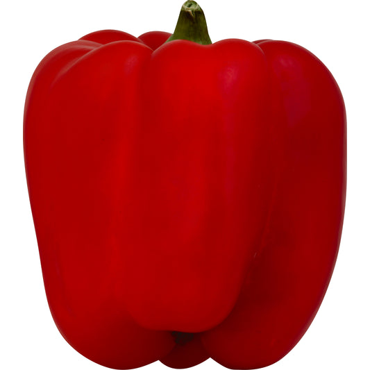 Organic Red Bell Pepper