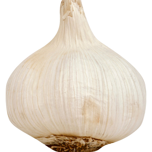 Organic Garlic