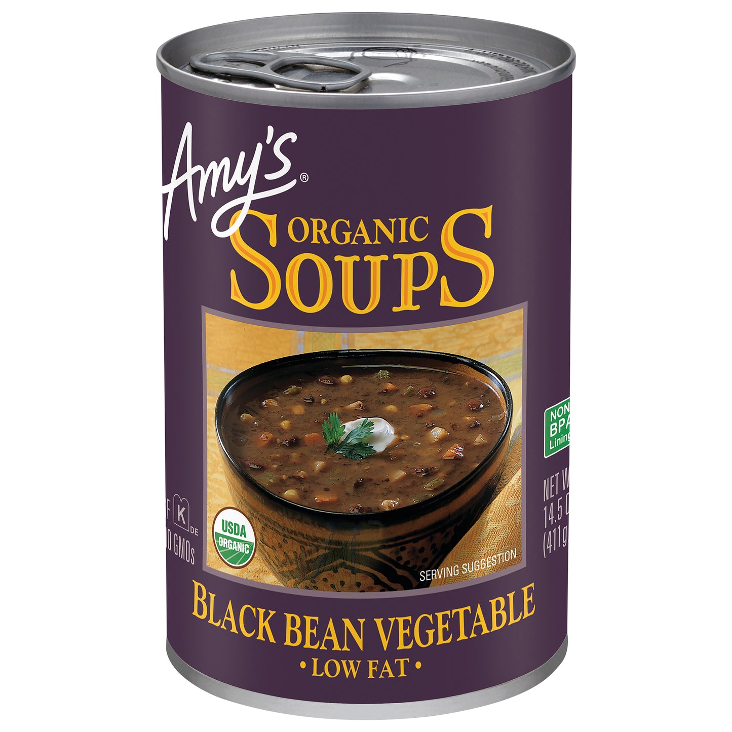 Black Bean Vegetable Soup