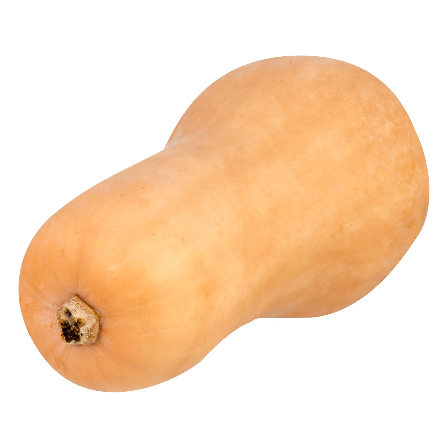 Organic Butternut Squash