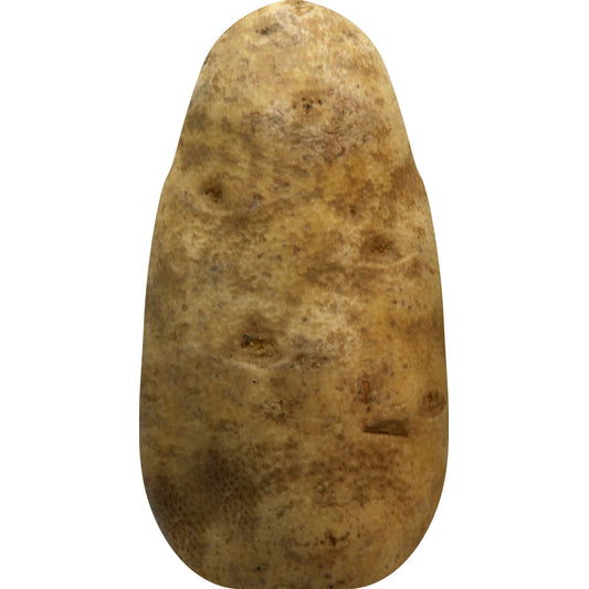 Organic Russet Potatoes